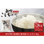 ふるさと納税 米 コシ