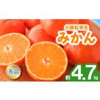 みかん 蜜柑 約4.7kg