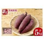 野菜類 サツマイモ 10月中旬以降 訳アリ