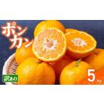 果物の詰合せ 早期受付 ポンカン 5kg