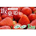 ふるさと納税 いちご 茨城県 古河市 坂東姫 1kg 不揃い訳あり|いちご 苺 イチゴ 訳あり 坂東太郎 果物 フルーツ 紅ほっぺ オリジナル ブランド 期間限定 季節…