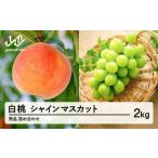 ショッピングふるさと納税 先行予約 ふるさと納税 もも 山形県 山辺町 《先行予約》白桃 シャインマスカット 秀品 詰め合わせ 計2kg 2026年産 令和8年産 山形県産 もも ぶどう 果物 フルーツ ギフ…