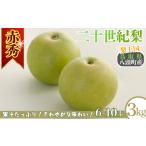 ふるさと納税 梨 鳥取県 八頭町 二十世紀梨(赤秀) 3kg「Y's Farm Tottori」 梨 なし ナシ 果物 フルーツ ギフト 先行予約 甘い 果実 果汁 デザート もぎ…