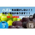 ふるさと納税 ぶどう マスカット 山梨県 笛吹市 糖度18度保証付 ブラックシャインマスカット「富士の輝」食べ比べセット 合計約2kg 2〜5房 数量限定 旬の美味…