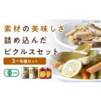 ピクルスセット 4個入り