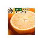 ふるさと納税 みかん・柑橘類 和歌山県 九度山町 ［先行予約］家庭用 はっさく2.5kg+250g（傷み補償分） 八朔みかん 訳あり わけあり ［IKE28］