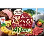 地域のお礼の品 あとから ふるさと 40万円分
