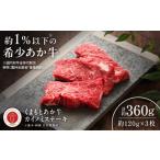牛肉 ステーキ 令和8年度熊本地震復興支援