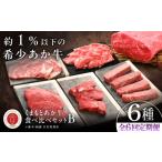 牛肉 セット 全6回定期便 GI認証 くまもとあか牛 食べ比べB