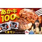 牛肉 ハンバーグ 全6回定期便 くまモンハンバーグセット