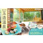 宿泊券 温泉 玉造 共通クーポン券 寄附額 20万円
