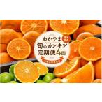 果物類 みかん 全4回 和歌山旬のカンキツ定期便