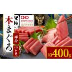 マグロ 本まぐろ赤身 中とろ2柵セット 赤身
