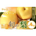 ふるさと納税 梨 岡山県 笠岡市 先行予約 訳あり 旬の梨 約4kg 3-10玉前後 岡山県産 梨 訳あり 新高 愛宕 王秋梨 鴨梨 岡山 笠岡市《9月上旬-1月末頃に出荷予…