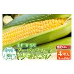 とうもろこし 糖度18以上 スーパースィート