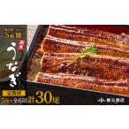 うなぎ 定期便全6回 横山桂一さんのS級鰻
