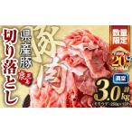 ふるさと納税 豚肉 モモ 鹿児島県 曽於市  2026年4月中に発送予定 鹿児島県産 豚肉切り落とし (計3.0kg) 真空パック 豚肉 切り落とし Rana A1016-04-R 2026年4…