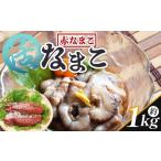 魚貝類 活ナマコ 1kg