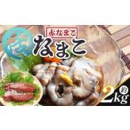 魚貝類 活ナマコ 2kg