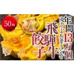 生餃子 飛騨牛餃子 50個