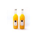果汁飲料 みかん 無添加甘夏ジュース 約720ml×2本