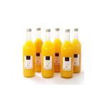 果汁飲料 みかん 無添加甘夏ジュース 約720ml×6本