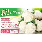 ふるさと納税 いちご 佐賀県 白石町 R8年1月以降発送 幻の白いちご こころの色 220g×2パック StrawberryFarm-K IBJ010
