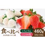 いちご 2027年1月~発送 こころの色+いちごさん 1箱