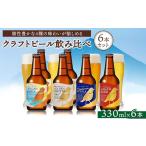 ふるさと納税 ビール 静岡県 御殿場市 クラフトビール飲み比べ6本セット［B-GW2LP1］　 北海道、沖縄、離島への配送不可