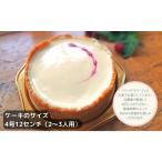 ケーキ カステラ チーズケーキ ベリーのフロマージュ
