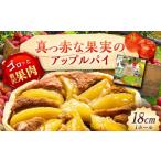 焼菓子 チョコレート アップルパイ 真っ赤な果実のアップル…