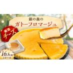 ケーキ カステラ ガトーフロマージュ チーズケーキ