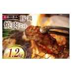 BJ283 鶏肉 豚肉 セット 島原の恵み 雲仙もみじ豚