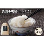 ふるさと納税 米 コシ