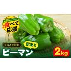 ふるさと納税 野菜類 福島県 田村市 農家さん応援 訳あり ピーマン 2kg JGAP取得 農家直送 冷蔵便 野菜 新鮮 BBQ 焼肉 国産 おすすめ 送料無料 緊急支援品 生…
