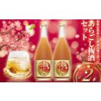 お酒 リキュール 梅酒 完熟あらごし梅酒 720ml