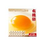 卵 鶏 烏骨鶏等 おんどり君とめんどりさんの