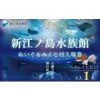 入場券 優待券 体験 水族館 新江ノ島水族館