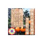 ショッピング甘平 ふるさと納税 みかん・柑橘類 愛媛県 八幡浜市  発送月固定定期便 愛咲果樹園「9種の柑橘定期便」(1月〜5月) H71-32 全5回 4069714