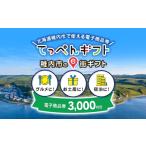地元のお買物券 e街 3 000円分