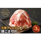 豚肉 カレー シチュー S058-026_天草プレミアムポーク