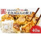 ふるさと納税 豚肉 北海道 上富良野町 かみふらのポーク 使用 手包み ふらの餃子 20個入×2袋 業務用 ジャンボ サイズ 中華 冷凍 即席 食品 簡単 加工品 調理…