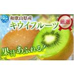 厳選 キウイ フルーツ 1kg+250g 傷み補償分