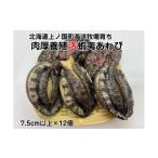 ふるさと納税 魚貝類 アワビ 北海道 上ノ国町 海洋牧場育ち養殖活蝦夷あわび（7.5cm以上×12個）　活アワビ　鮑　海鮮　産地直送　魚介類　海の幸　おせち　エ…