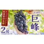 ゴルビー 2房 共通返礼品:大子町 ぶどう