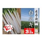 fu.... налог овощи вид лук порей Ooita префектура . после takada город предшествующий предварительный заказ прямая поставка от производителя * свежий ... прекрасный тест .. белый лук-батун (3kg передний и задний (до и после) ) запад Япония верх Class. производство земля * Ooita префектура . после takada город производство широкий большой...