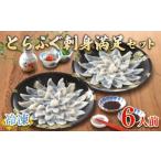 ふるさと納税 フグ 山口県 下関市 2025年11月発送 ふぐ 刺身 セット 6人前 120g 冷凍 ( 高級魚 鮮魚 魚介 フグ刺し とらふぐ 国産養殖トラフグ 本場 下関 ふ…