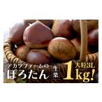 fu.... налог фрукты вид каштан Ibaraki префектура Kasama город сырой каштан 1kg очень большой 3L размер и больше каштан ...... местного производства местного производства каштан мир каштан подарок подарок очень большой большой крупный осень . закуска s...