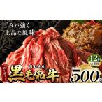 牛肉 定期12回 訳あり 定期便 切り落とし
