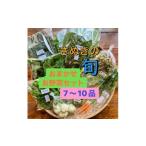 fu.... налог комплект *... Kagawa префектура -.. приятный TAGATAME. случайный . овощи комплект (7~10 товар ) 1632093